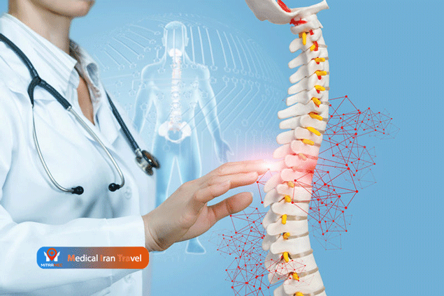 spinal spine Diseases